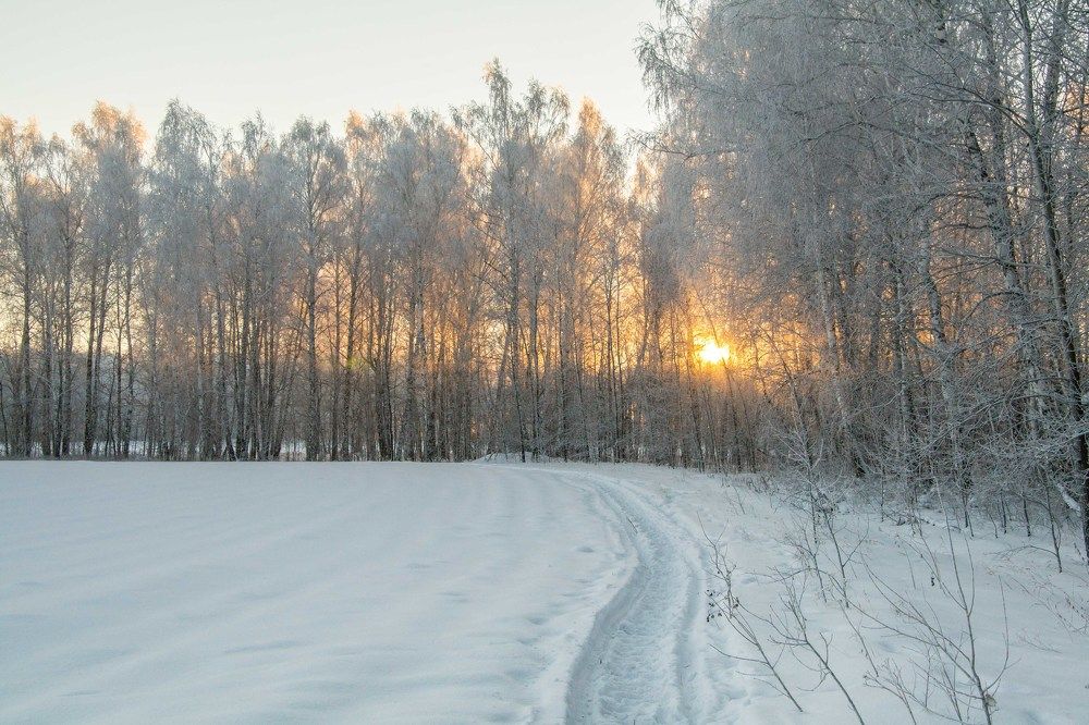 Photograph by Евгения Антропова