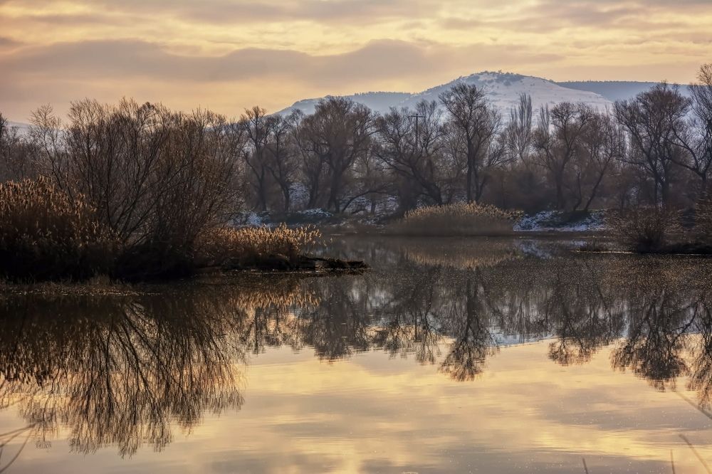 Фотография автора Demet Özer Yakut