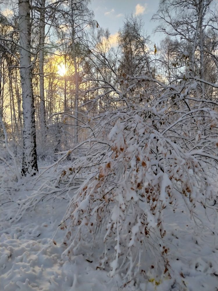 Photograph by Евгения Антропова