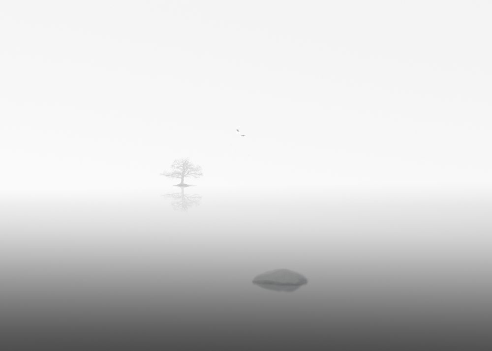 Photograph by Виктор Холодов