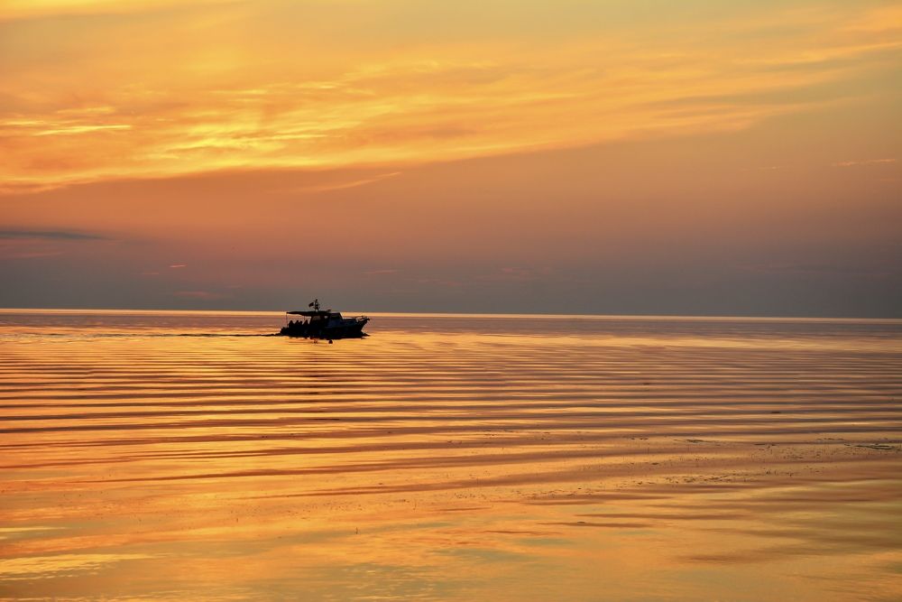 Фотография автора Demet Özer Yakut