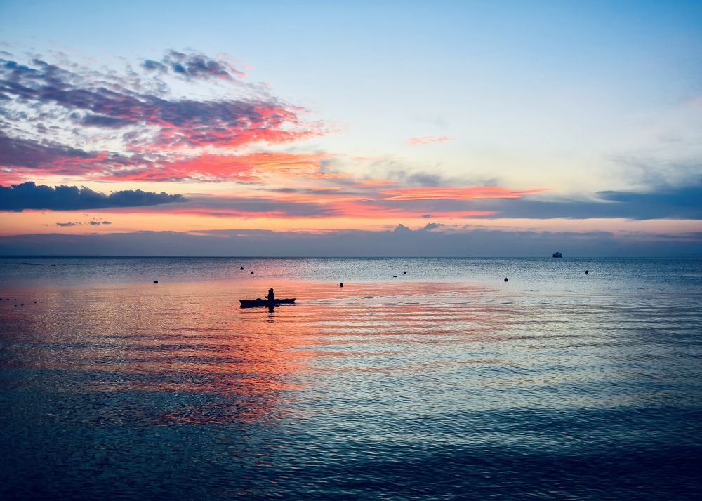 Фотография автора Demet Özer Yakut