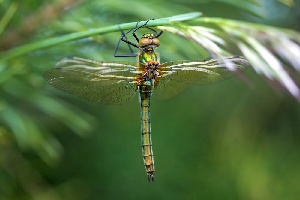 Photograph by Małgorzata