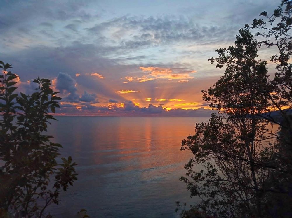 Фотография автора Юлия Таран