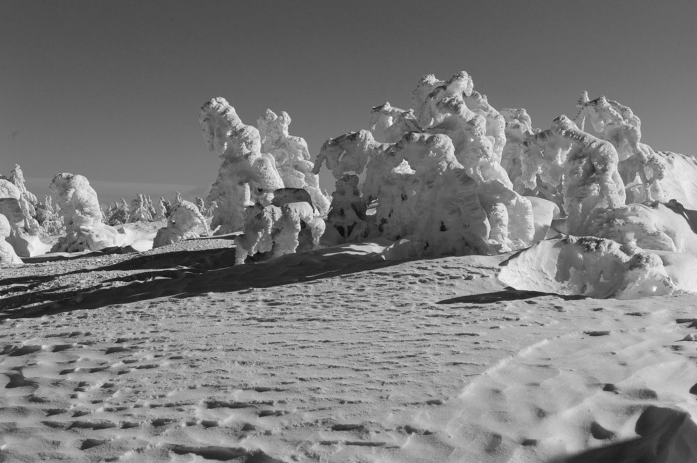 Photograph by Сергей Сережников