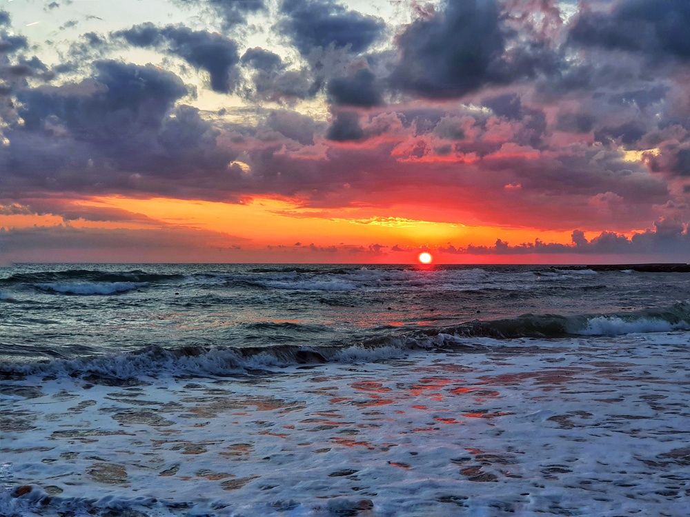 Фотография автора Юлия Таран