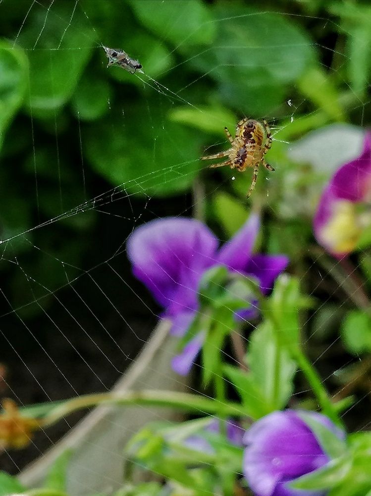 Photograph by Марцева Татьяна