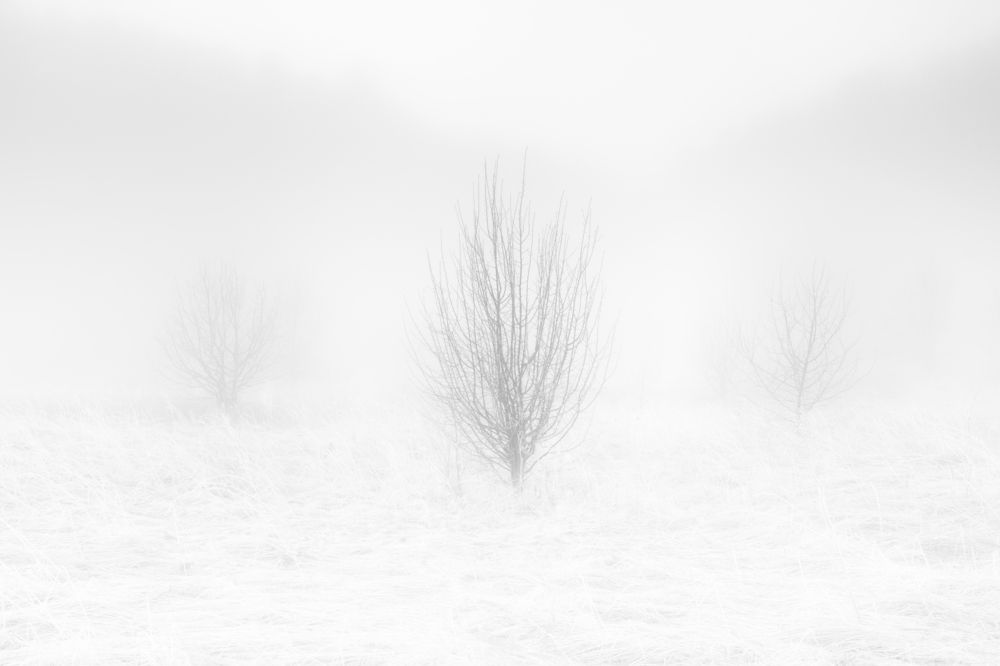 Photograph by Михаил Харитонычев