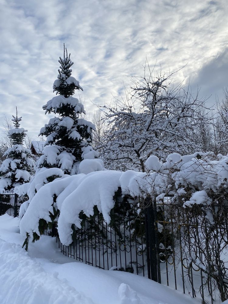 Photograph by Наталья