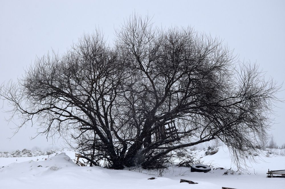 Photograph by Ирина Федичева