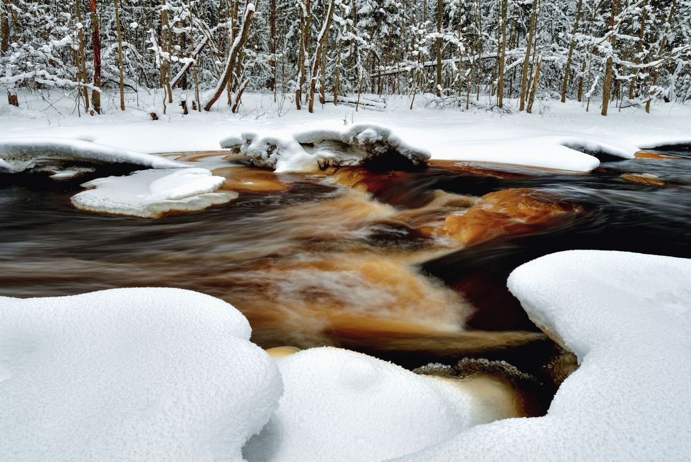 Зимняя река Рощинка