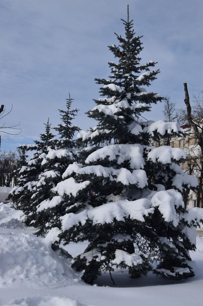 Photograph by Ирина Федичева