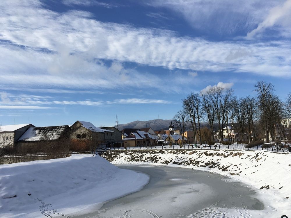 Photo #7150846