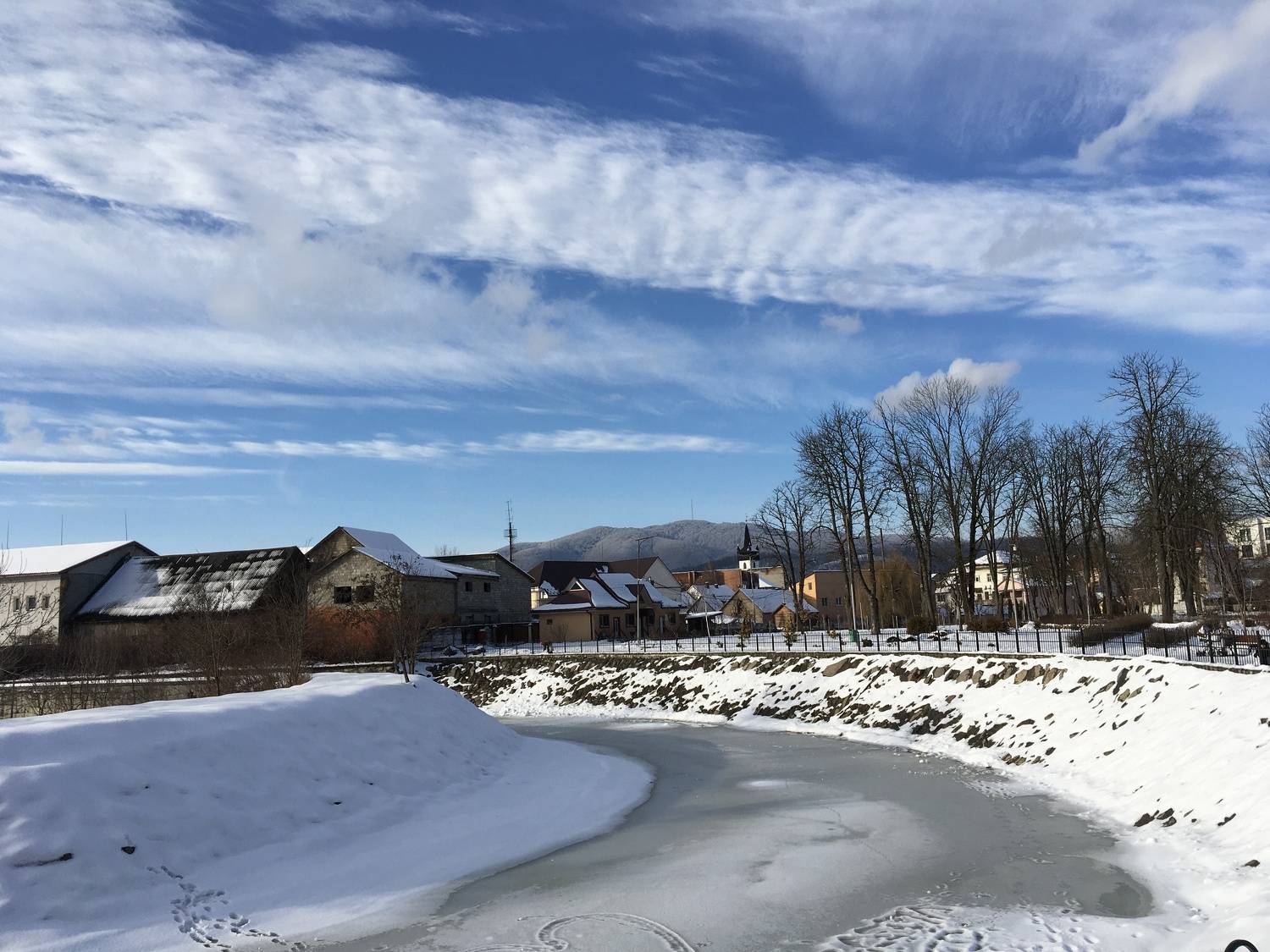 Photo #7150846