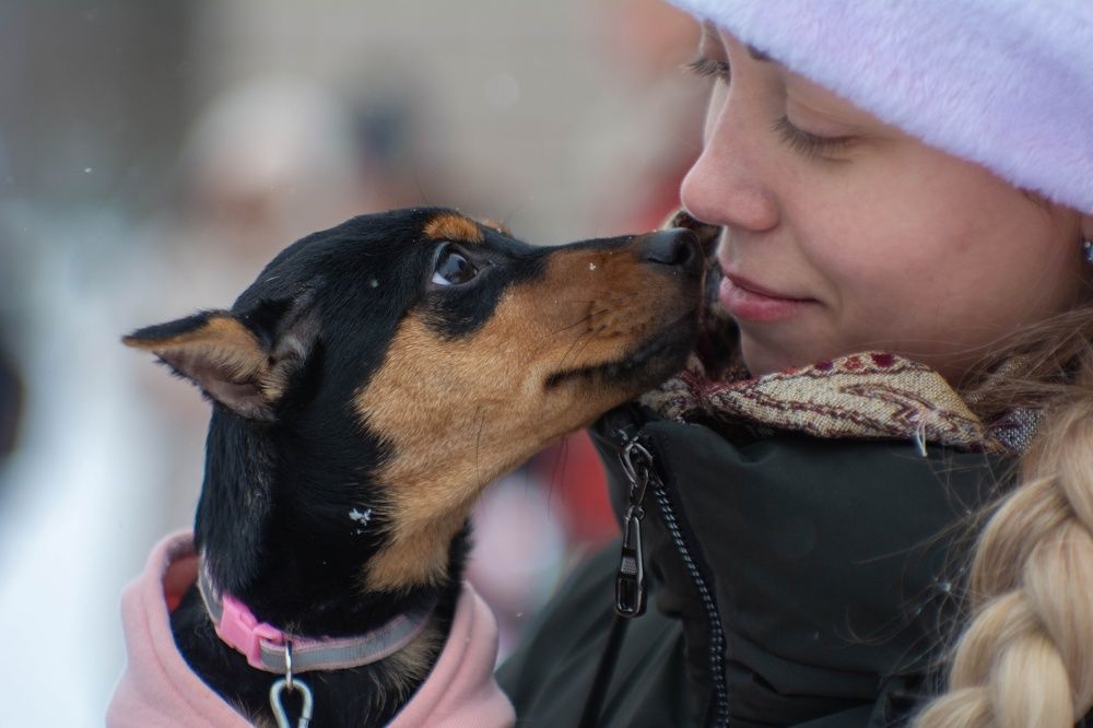 Photograph by Александр Лобынцев