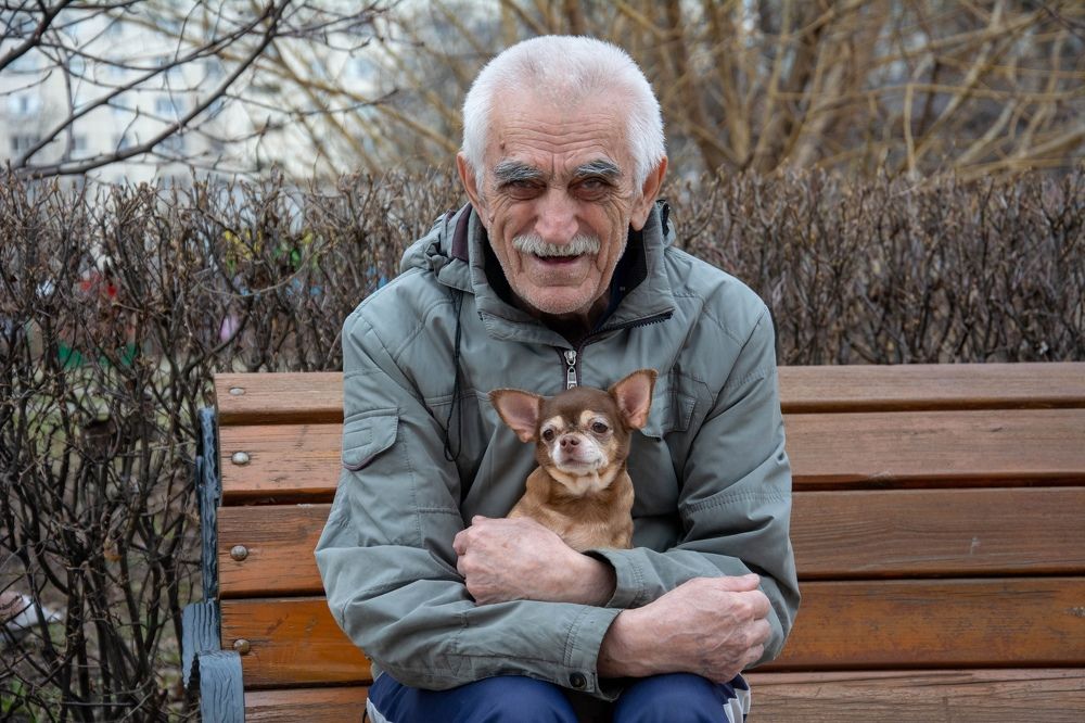 Photograph by Александр Лобынцев