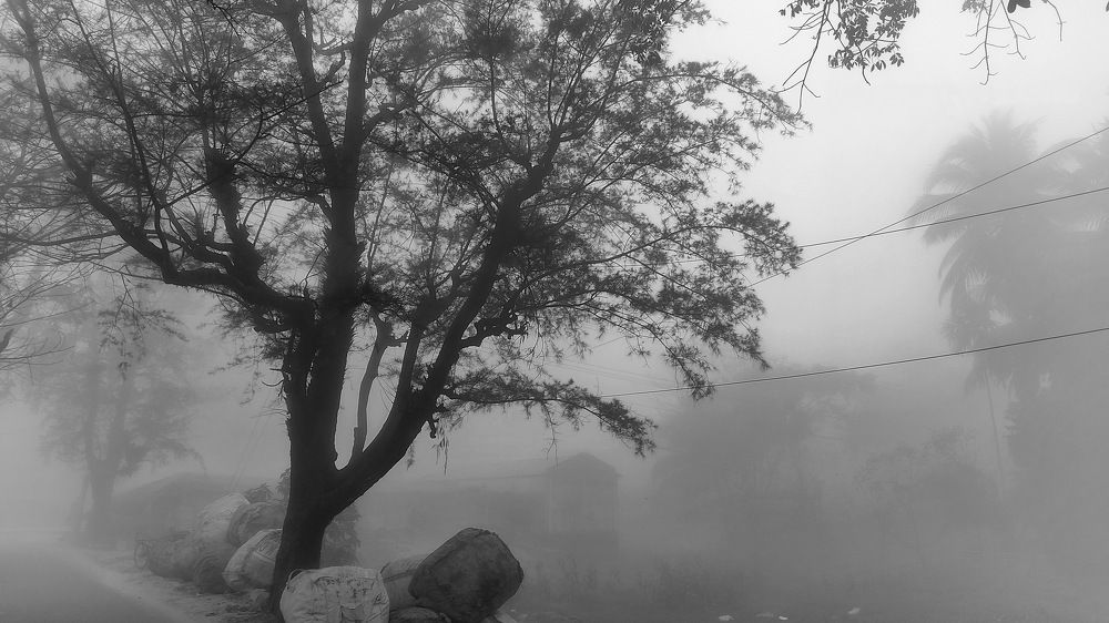 Photograph by Kamrul Nazim