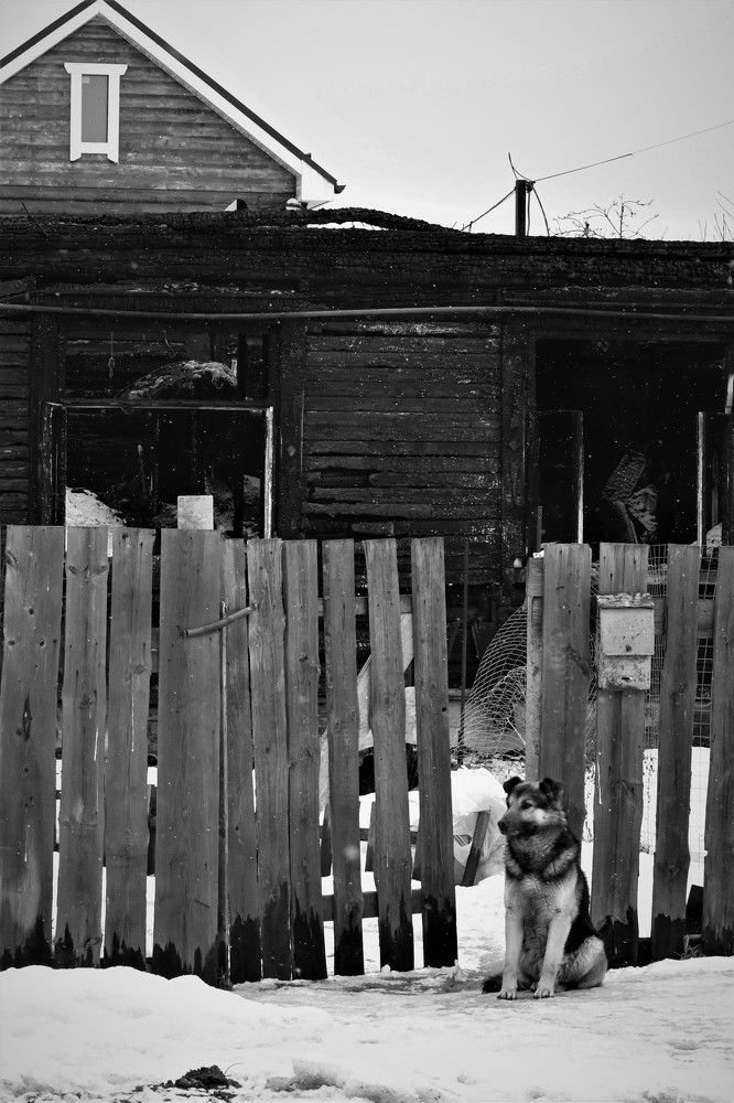 Фотография автора IRINA FILIPPOVA