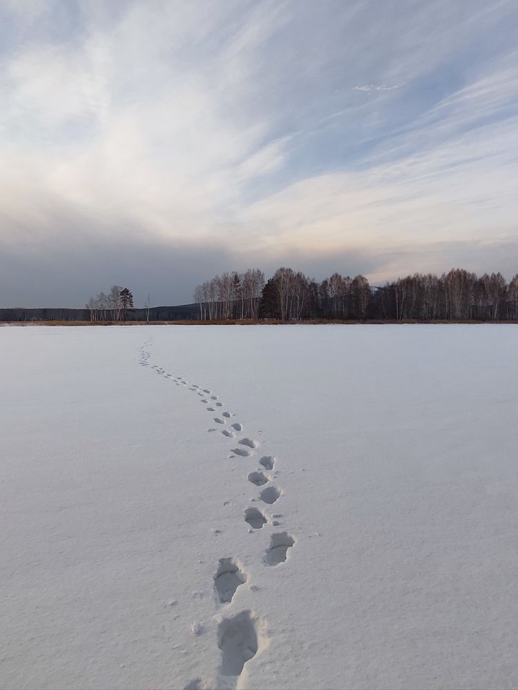 Photograph by Юлия Гинтер