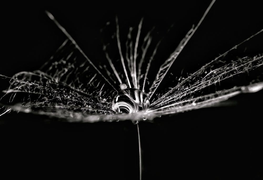 Photograph by Maria Cristina Artale