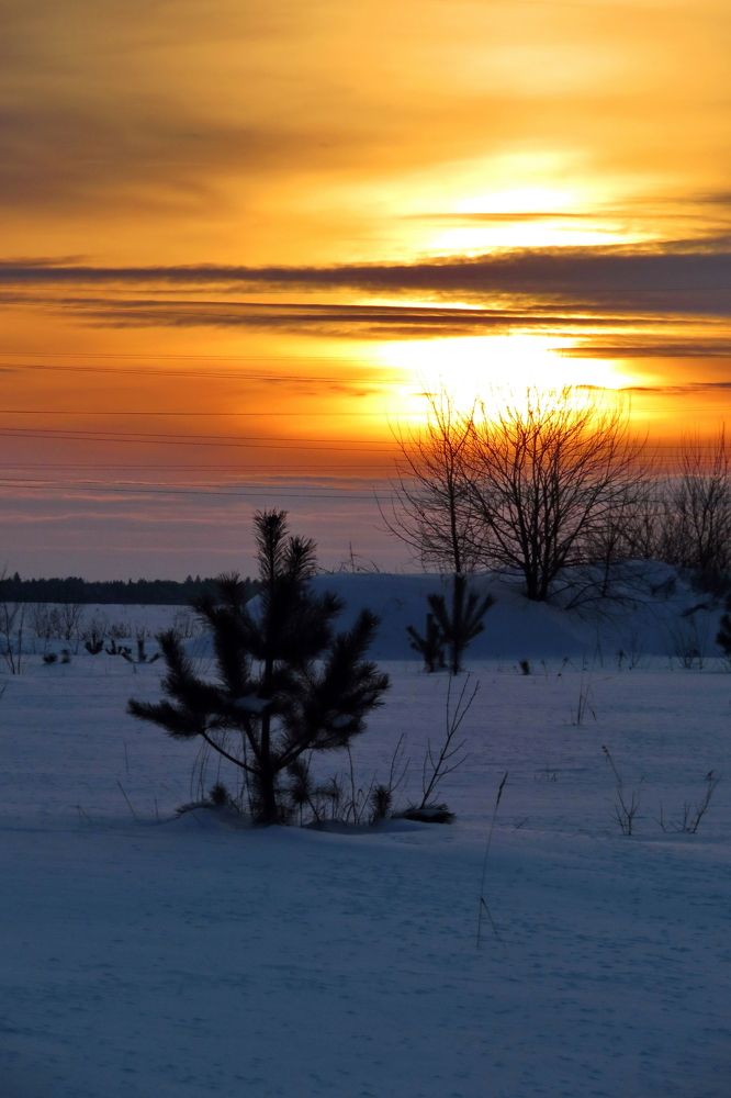 Photograph by Крылов Владимир