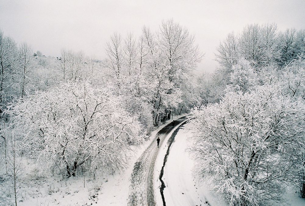 Photograph by Ramunas Danisevicius