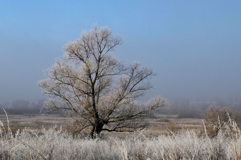 Зимний шарм