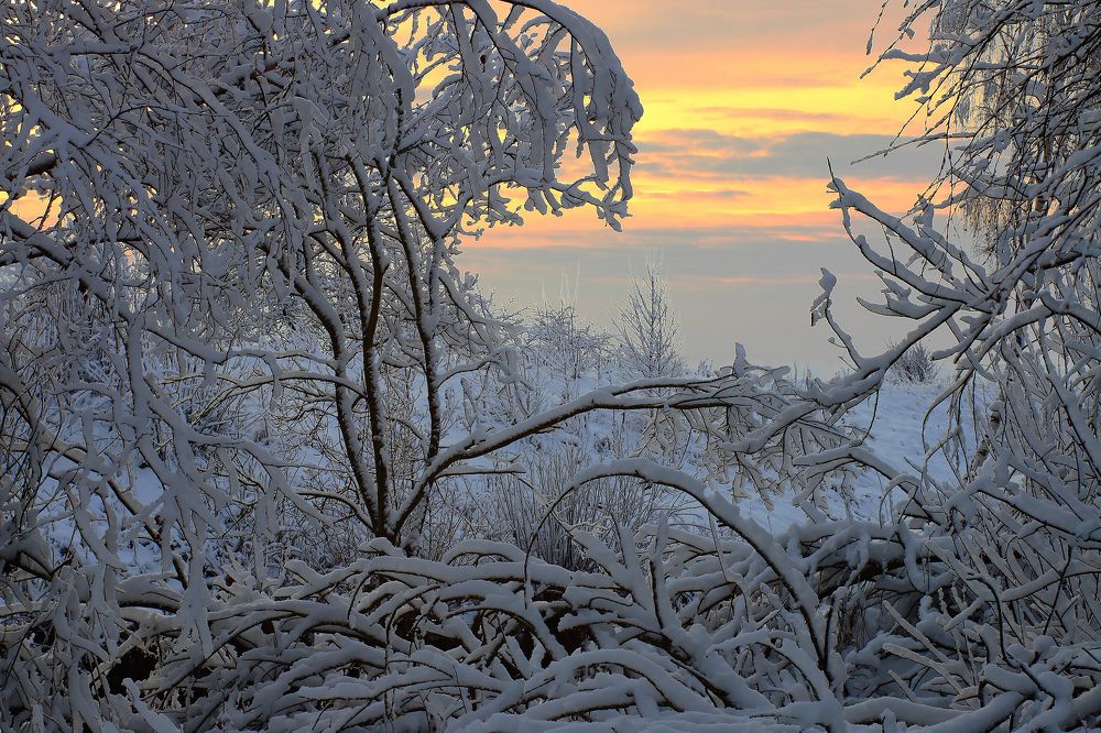 Photograph by Nikolay  Protasenya