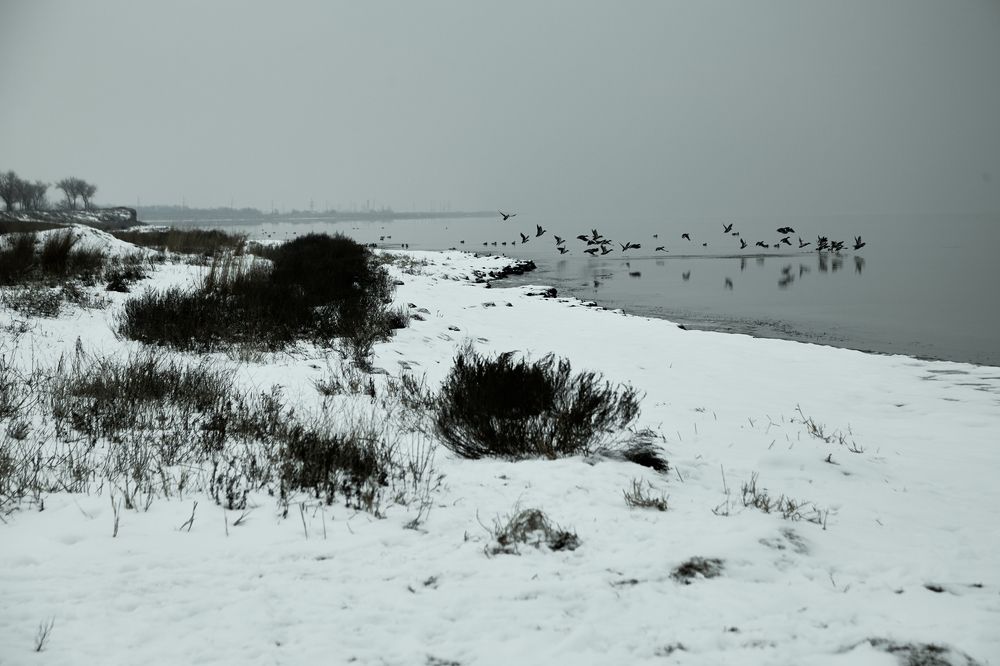 Photograph by Владимир Харчиков