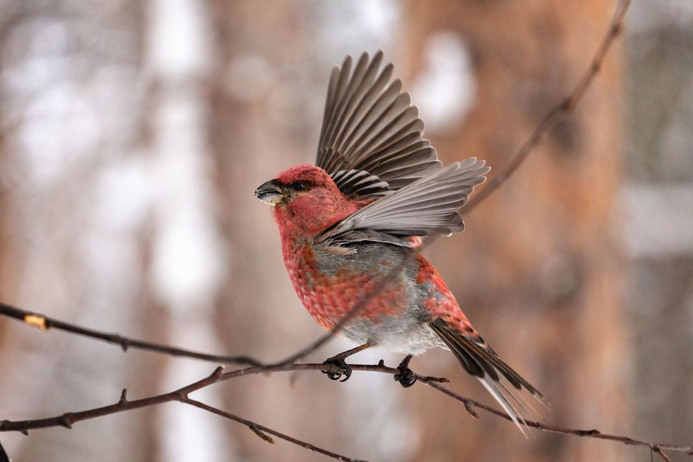 Фотография автора Наталья Василькова