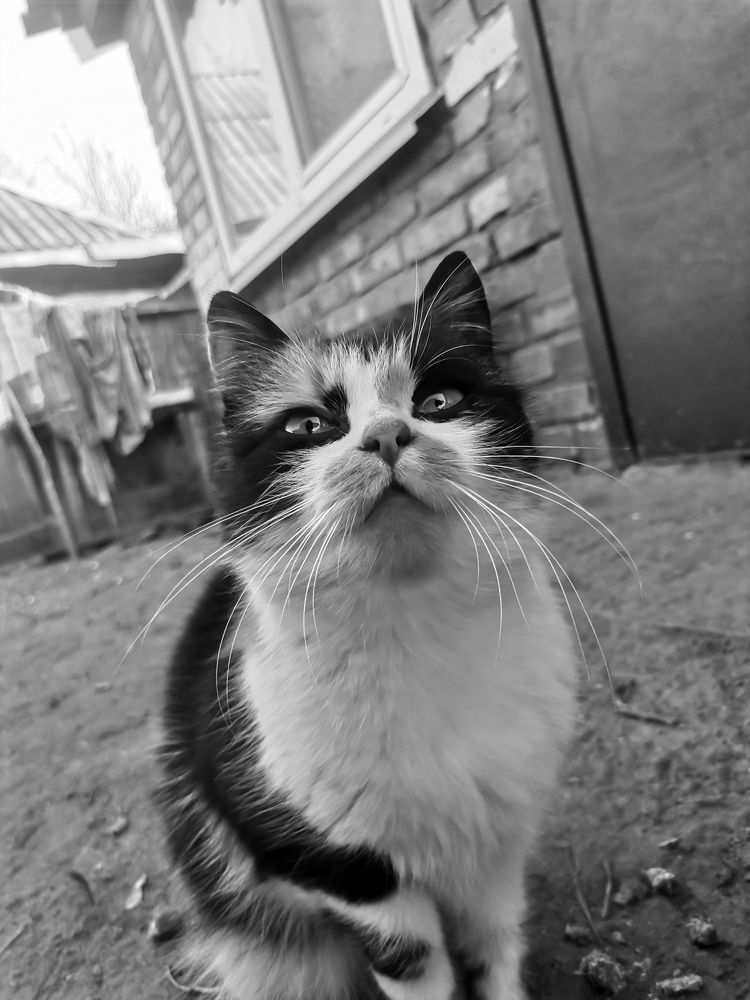 Photograph by Алина Цилык