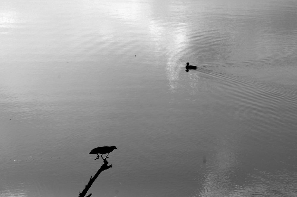 Фотография автора Светлана Груньковская