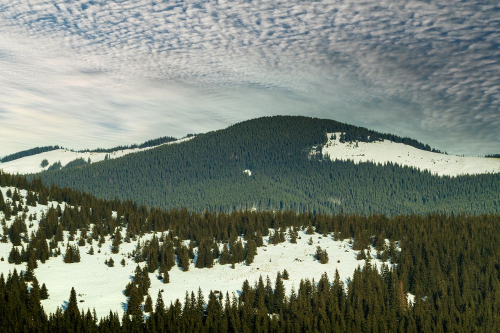 Photograph by Андрей Данилюк