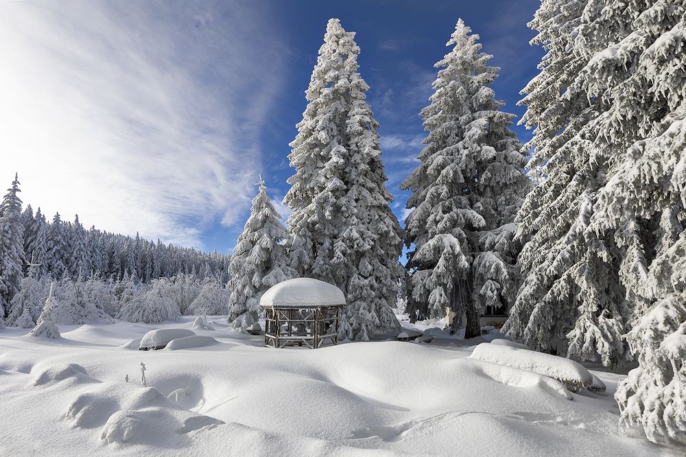 Photograph by Petya Petkova