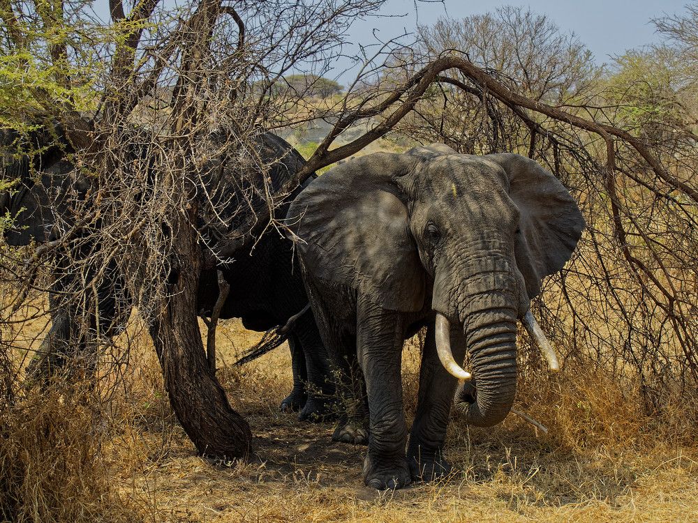 Photograph by Андрей Панин