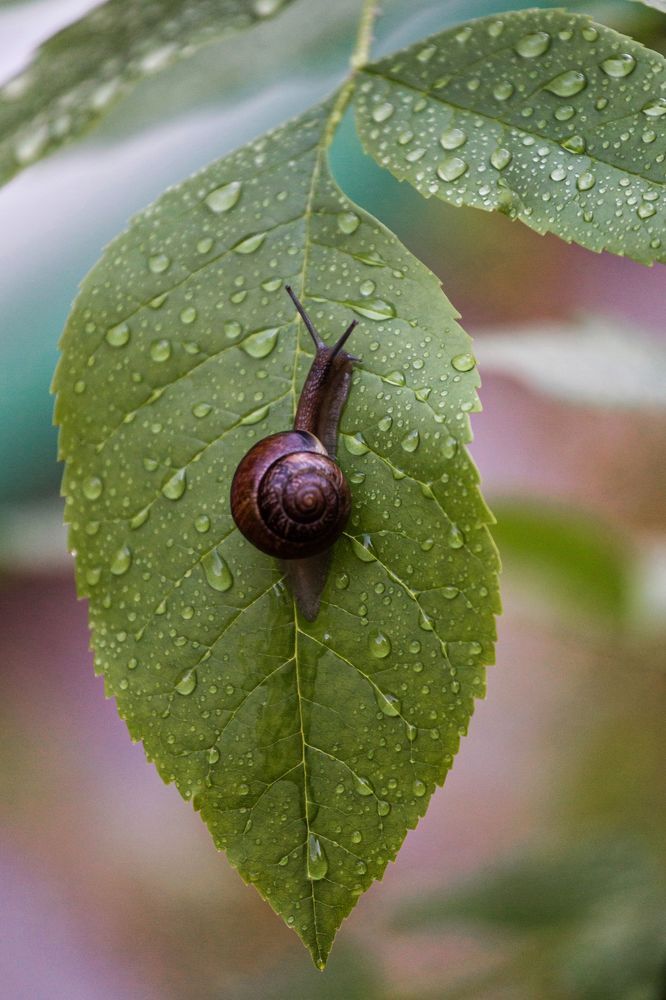 Фотография автора Наталья Василькова