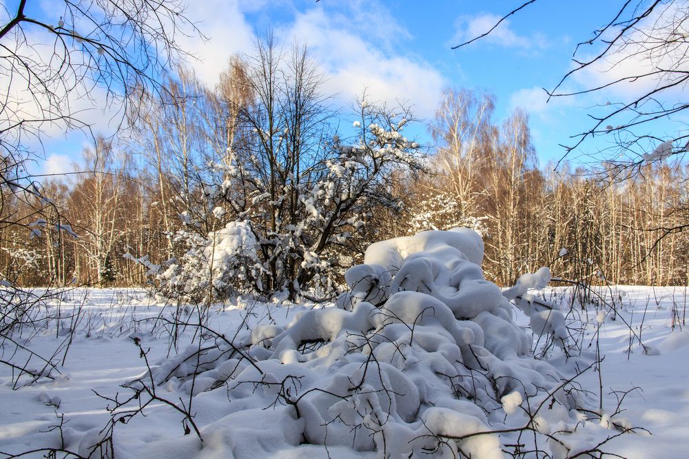 Фотография автора Александр Стоялов