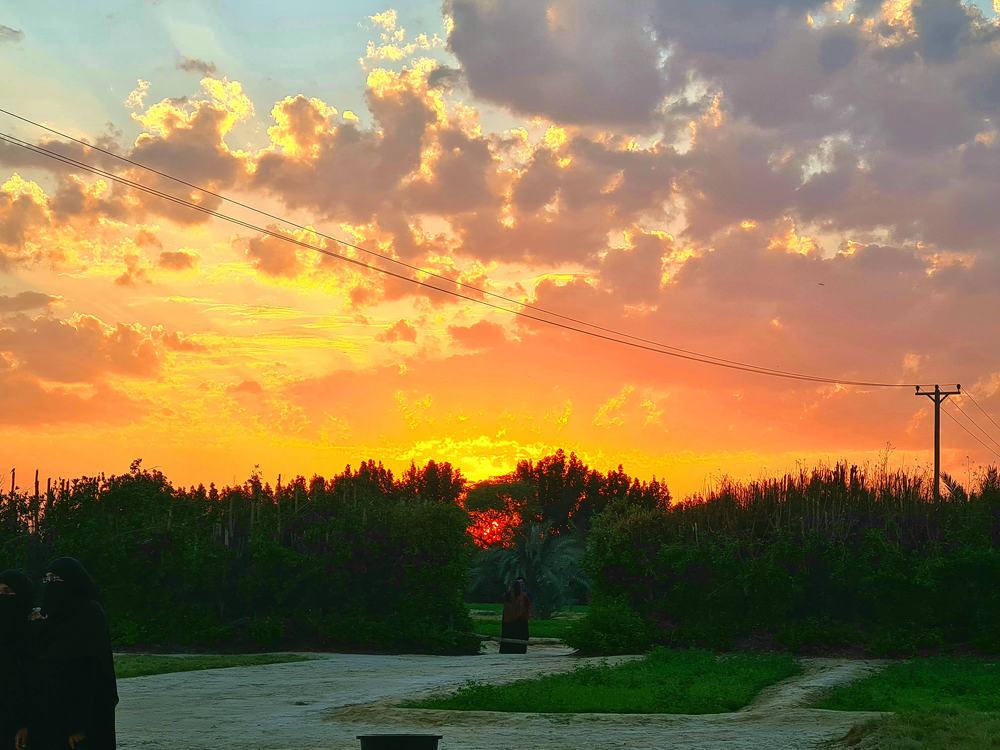 SUN SET BEHIND THE TREES