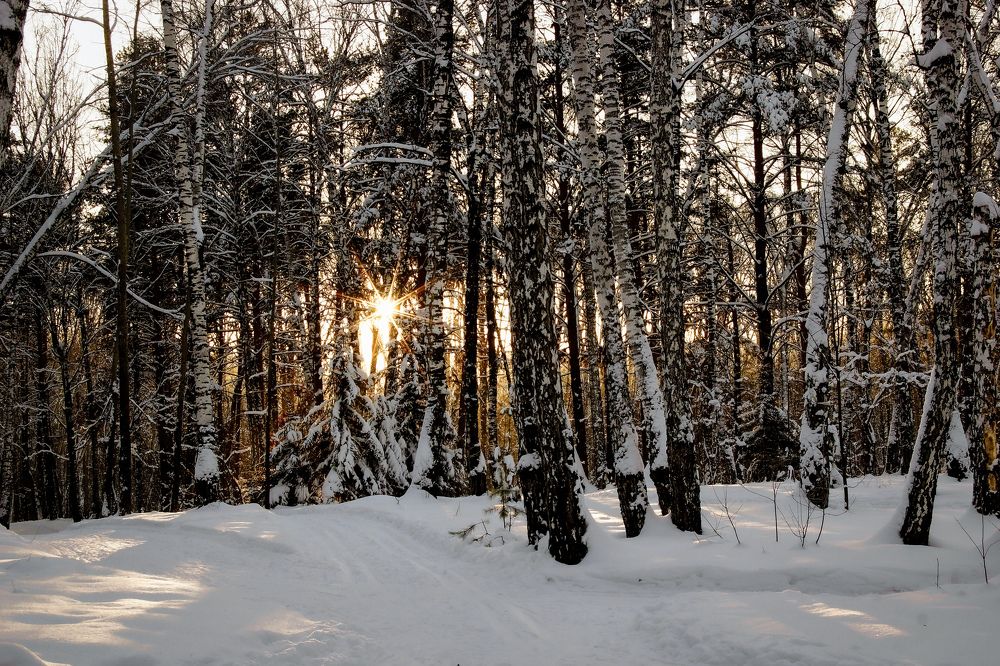 На закате дня