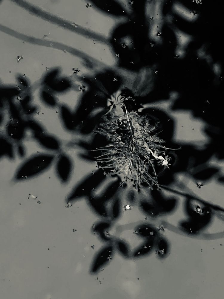 Невесомость.