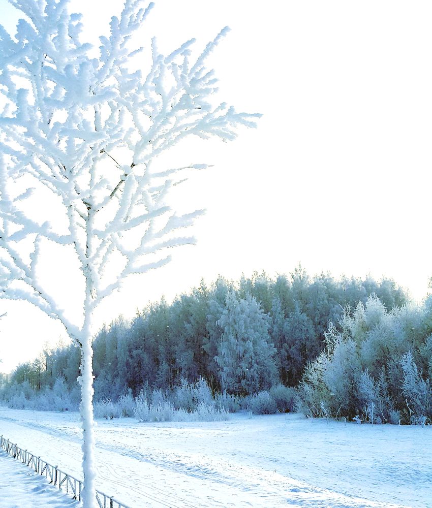 Photograph by Сергей Вальков