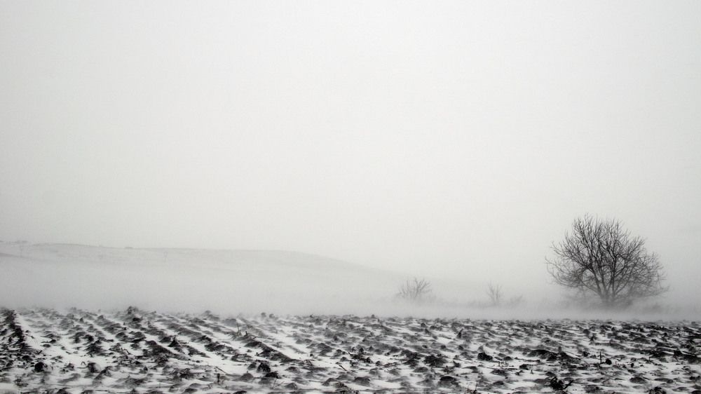 Photograph by Anton Kuzkin