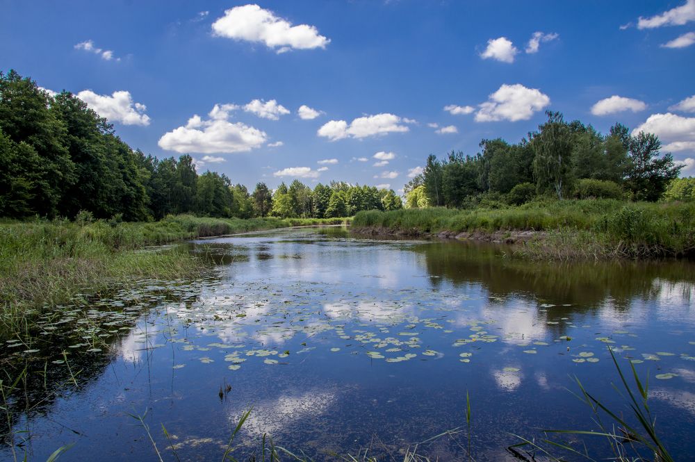 Река Случь - 3