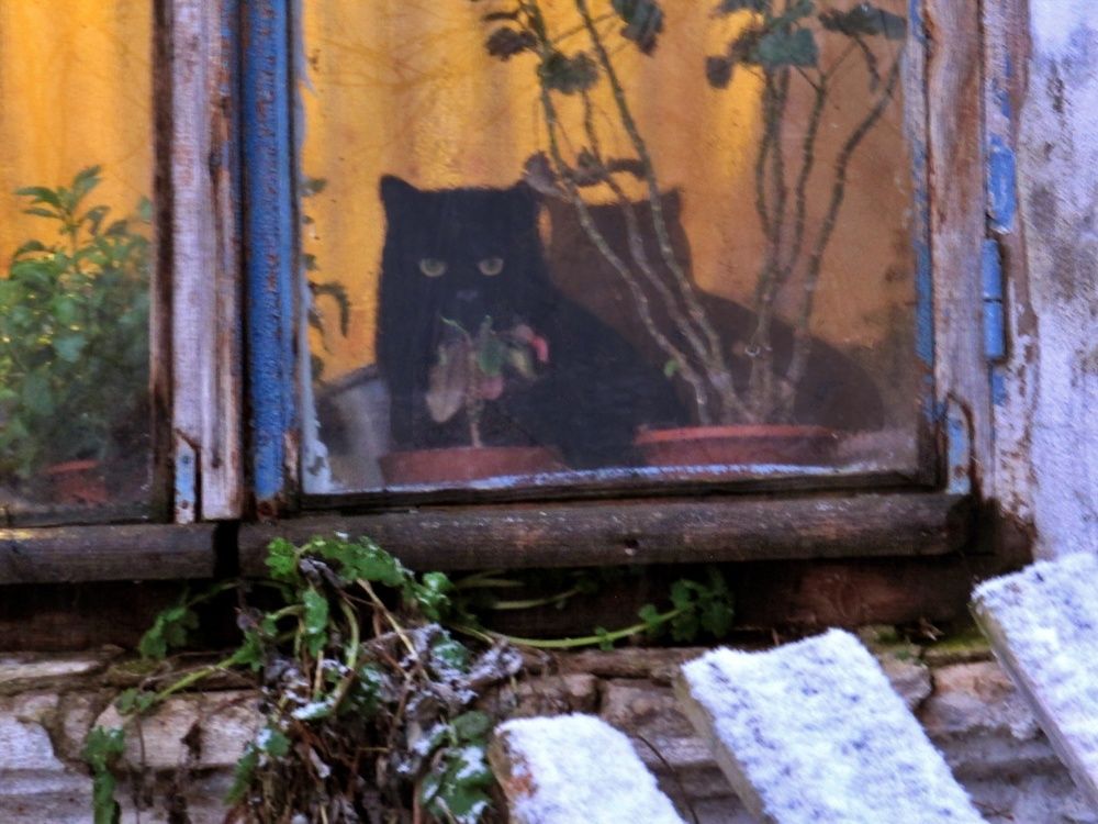 Погляделки