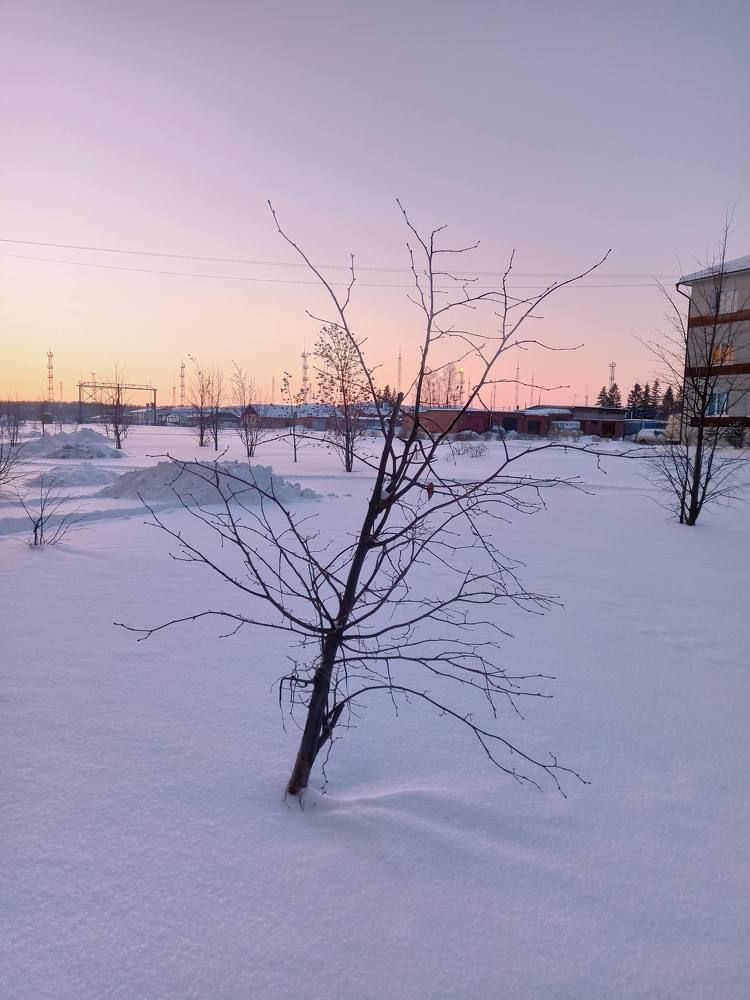 Photograph by Natalie Dmay