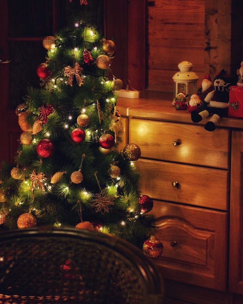 Photograph by Виктория Цареградская