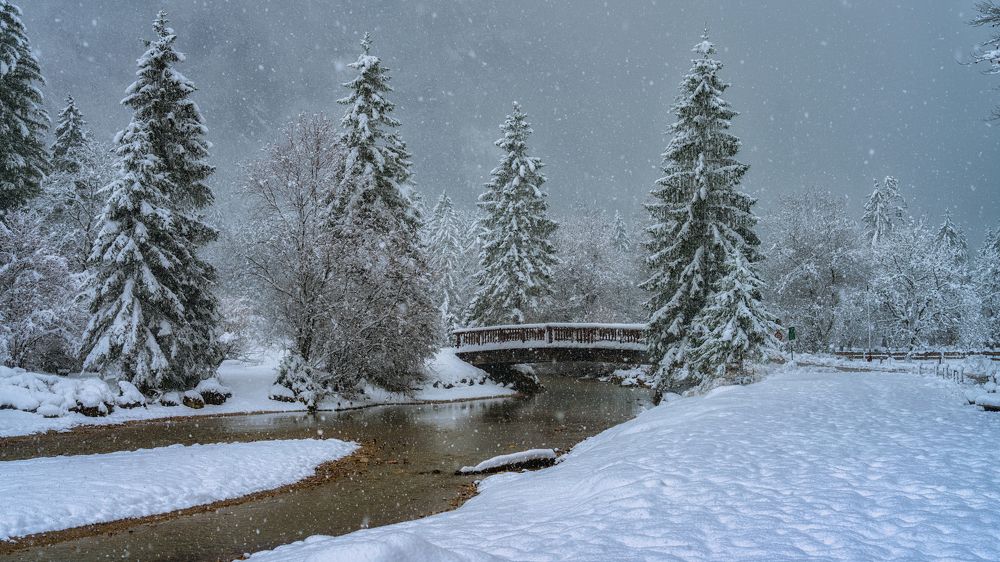 Фотография автора ROMAN Wieckowski