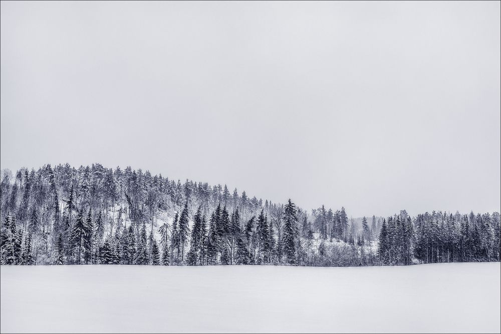 Photograph by Наталия Гриднёва