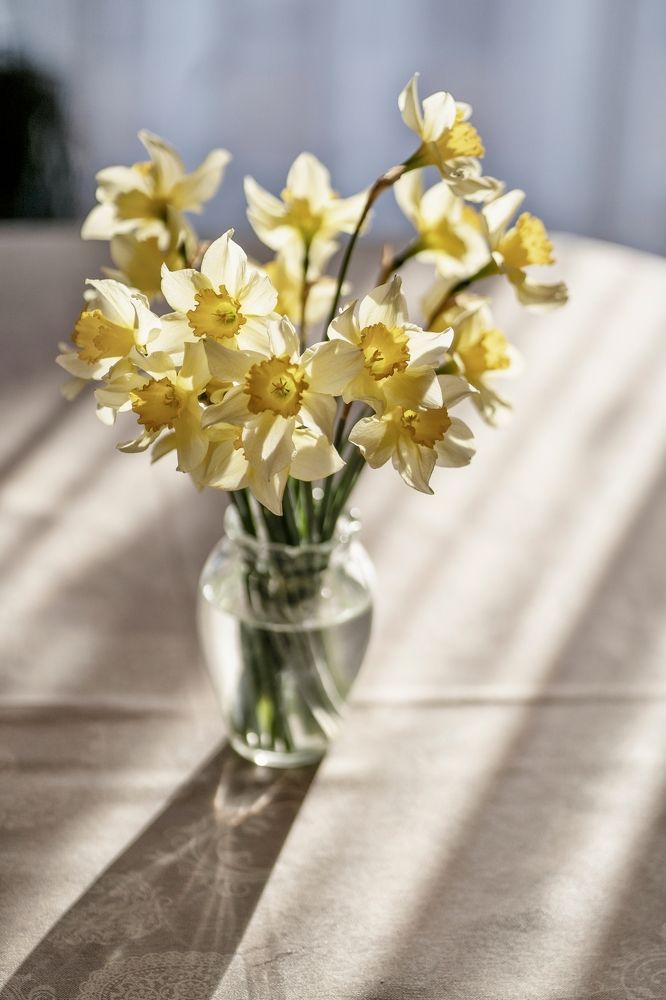 Early evening backlight