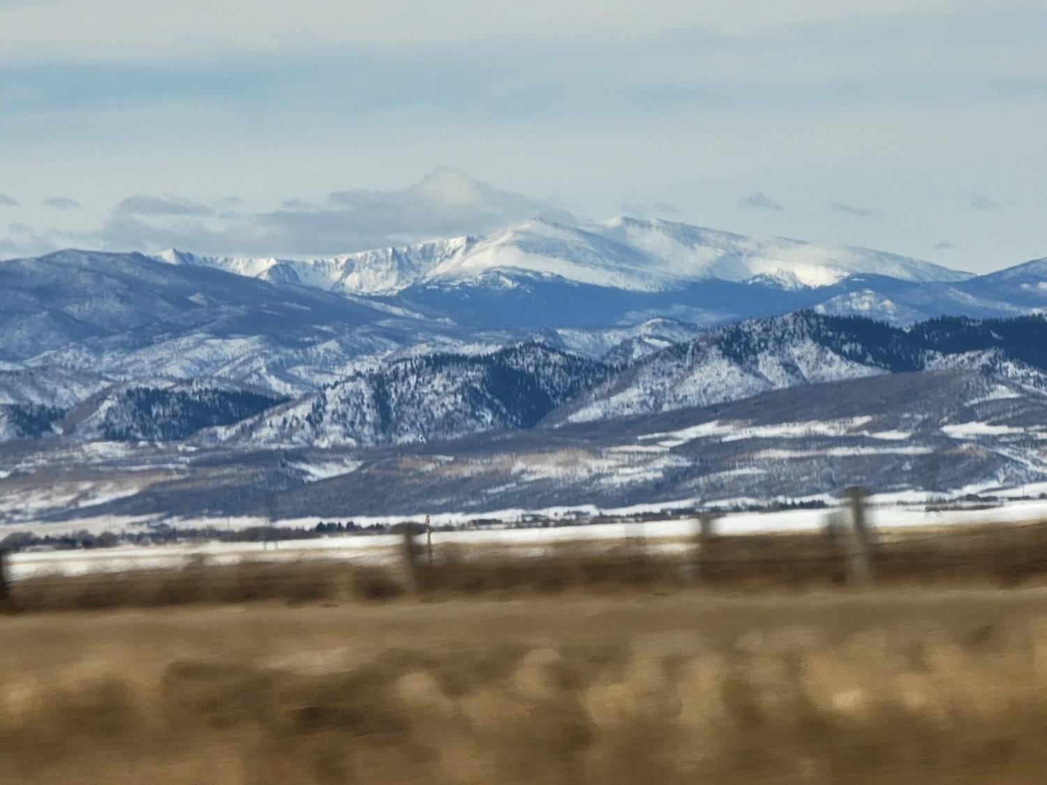 Photo #7151934